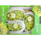 Korean Shine Muscat Seedless Grapes Box